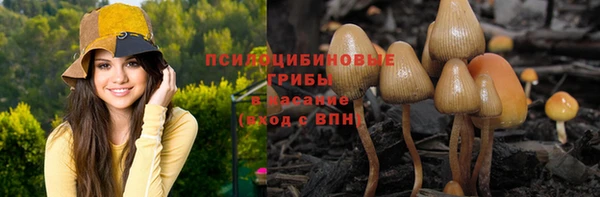 стаф Бугульма