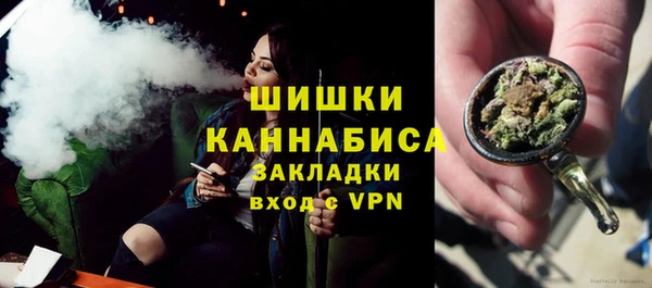 гидропоника Бородино