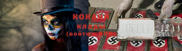 гидропоника Бородино
