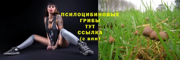 стаф Бугульма