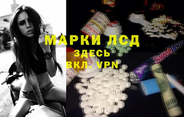 гидропоника Бородино
