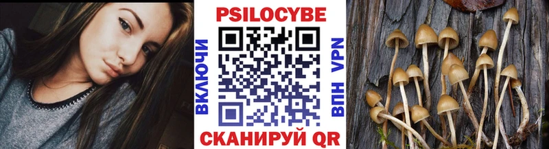 Псилоцибиновые грибы мухоморы  Вельск 